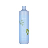 ECHOSLINE Balance Shampoo - Attīrošs šampūns, 1000ml