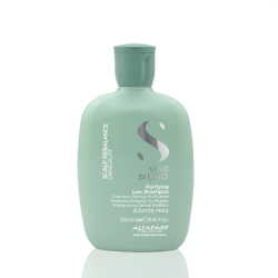 ALFAPARF Milano Semi Di Lino SCALP REBALANCE DANDRUFF Shampoo - Pretblaugznu šampūns, 250ml