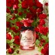 DOLCE&GABBANA Dolce Rose, EDT - Туалетная вода для женщин, 75мл