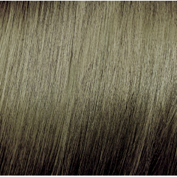 ELGON Tonalight - Profesionāla tonējoša matu krāsa bez amonjaka, 8.31 - GAIŠS ZELTAINI-PELNU BLONDS