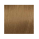 ELGON GET THE COLOR - Krēmkrasa matiem, 8/3 - LIGHT GOLDEN BLONDE / gaiši zelta blonds (elg-get-8-3)