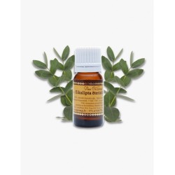 Eikalipta ēteriskā eļļa 10ml