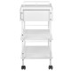 COSMETIC TABLE - BEAUTY SALON TROLLEY 1019A GIOVANNI