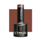 OCHO NAILS AUTUMN A05 - Gela nagu laka, 5ml