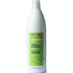 Oyster FRUIT SUBLIME Olive Shampoo - Šampūns atjaunojošs, 1000ml