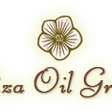 Viza Oil Group