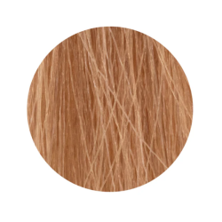 ETB Hair Permanent Color Cream - Krēmkrasa matiem, 10.32 - BLONDE PLATINUM GOLDEN IRIS / zelta īrisa platīnblonds