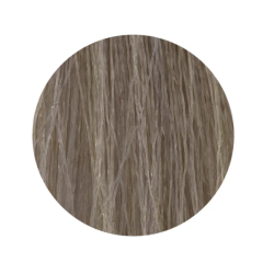 ETB Hair Permanent Color Cream - Krēmkrasa matiem, 11.1 - BLONDE ULTRA PLATINUM ASH / ultra platīnblonds pelnu