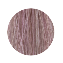 ETB Hair Permanent Color Cream - Krēmkrasa matiem, 11.21 - BLONDE ULTRA PLATINUM IRIS ASH / ultra platīnblonds pelnu īrisa