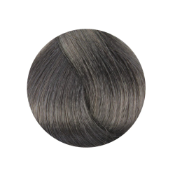 ETB Hair Permanent Color Cream - Krēmkrasa matiem, 8.11 - LIGHT BLONDE INTENSE ASH / intensīvi pelnu gaiši blonds