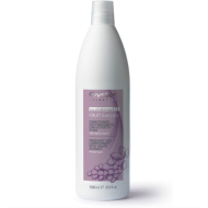 Oyster FRUIT SUBLIME Grape Extract Conditioner - Kondicionieris ikdienas lietošanai, 1000ml