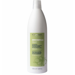 Oyster FRUIT SUBLIME Olive Shampoo - Šampūns atjaunojošs, 1000ml