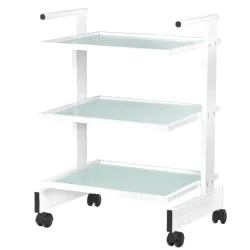 COSMETIC TABLE TYPE 1010 GIOVANNI