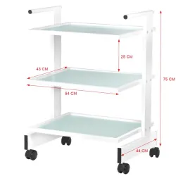 COSMETIC TABLE TYPE 1010 GIOVANNI