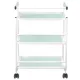 COSMETIC TABLE - BEAUTY SALON TROLLEY 1013 GIOVANNI COSMETIC TABLE - BEAUTY SALON TROLLEY 1013 GIOVANNI