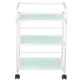 COSMETIC TABLE - BEAUTY SALON TROLLEY 1013 GIOVANNI COSMETIC TABLE - BEAUTY SALON TROLLEY 1013 GIOVANNI
