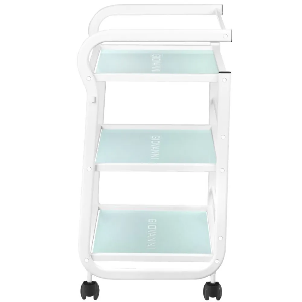 COSMETIC TABLE - BEAUTY SALON TROLLEY 1013 GIOVANNI COSMETIC TABLE - BEAUTY SALON TROLLEY 1013 GIOVANNI