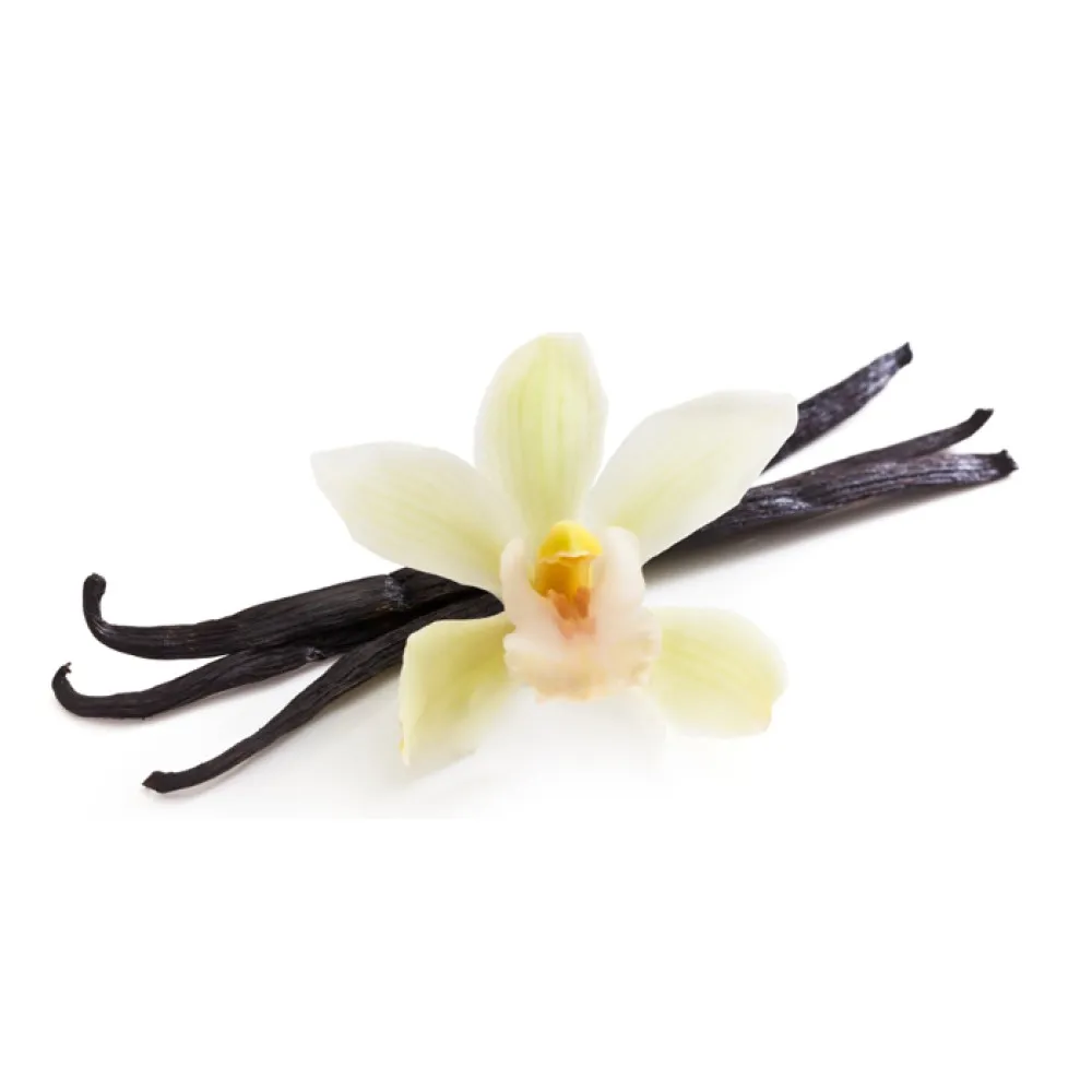Vanilla BIO in rapeseed oil - essential oil 5ml Vanilla BIO in rapeseed oil - essential oil 5ml
