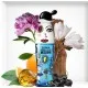 Moschino Cheap and Chic So Real, EDT Moschino Cheap and Chic So Real, EDT