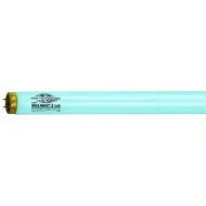 Solārija lampa Max Warp 800 Longlife X-Press 0.3 180W, 2m Solārija lampa Max Warp 800 Longlife X-Press 0.3 180W, 2m