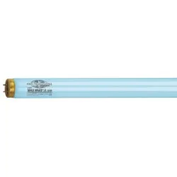 Solārija lampa Max Warp 800 Longlife X-Press 0.3 160W