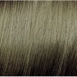 ELGON Tonalight - Profesionāla tonējoša matu krāsa bez amonjaka, 8.31 - GAIŠS ZELTAINI-PELNU BLONDS