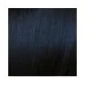 ELGON GET THE COLOR - Krēmkrasa matiem, 1/1 - ASH BLACK / pelnu melns