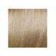ELGON GET THE COLOR - Крем-краска для волос, 10/31 - GOLDEN ASH PLATINUM BLONDE / платиновый блонд золотисто-пепельный