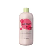 Inebrya Ice Cream Energy shampoo, 1000ml Inebrya Ice Cream Energy shampoo, 1000ml