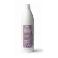 Oyster FRUIT SUBLIME Grape Extract Conditioner - Кондиционер для частого использования с экстрактом винограда, 1000ml