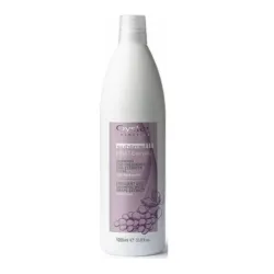 Oyster FRUIT SUBLIME Grape Extract Shampoo - Ikdienas šampūns, 1000ml