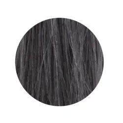 ETB Hair Permanent Color Cream - Krēmkrasa matiem, 10.11 - BLONDE PLATINUM INTENSE ASH / intensīvi pelnu platīnblonds