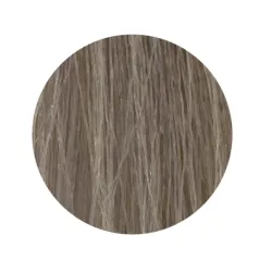 ETB Hair Permanent Color Cream - Krēmkrasa matiem, 11.1 - BLONDE ULTRA PLATINUM ASH / ultra platīnblonds pelnu